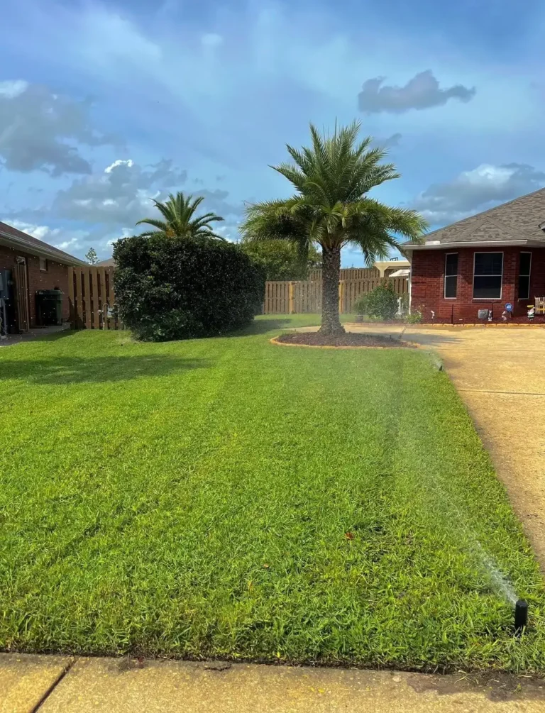 Common Irrigation System Issues and How to Fix Them