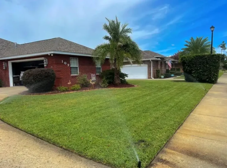 What is an Irrigation System?